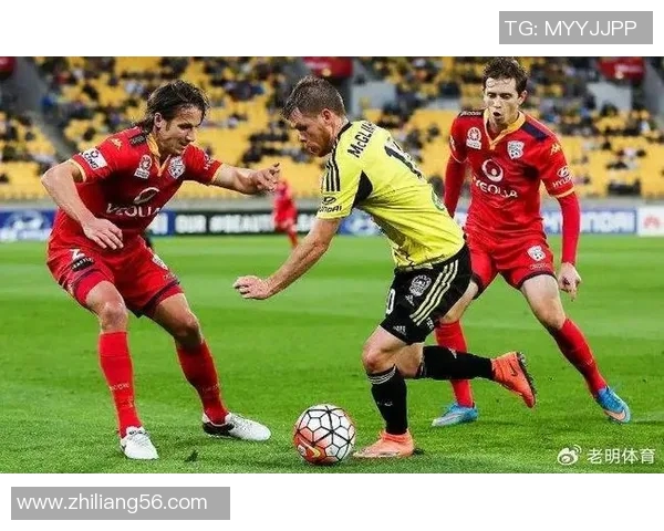 不莱梅与霍芬海姆激战成平局双方各取一分精彩对决回顾 不莱梅与霍芬海姆激战成平局双方各取一分精彩对决回顾